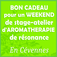 bon_achat_formation_2026_2contour